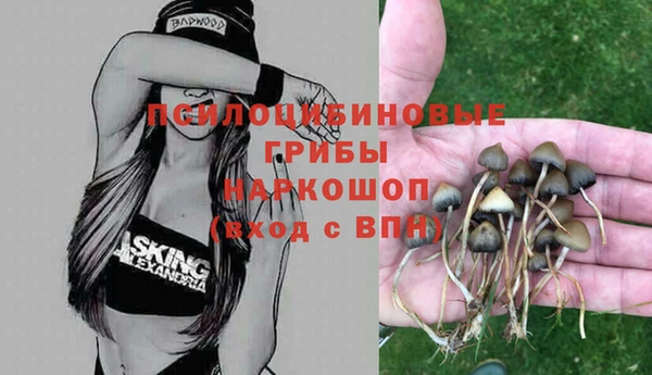 ешки Волоколамск